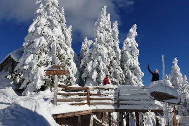 Pozor! Po tej poti do Velike planine prevozite dve regiji. In tam vas bo čakala kontrola! (foto: Robert Hrovat/STA)