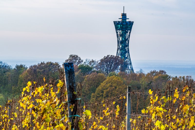 Fontana piv v Žalcu, vinska fontana v Marezigah in razgledni stolp v Lendavi povečali turistični obisk (foto: Shutterstock)