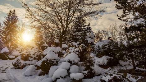 Mrzla zračna gmota nad Slovenijo potisnila temperature globoko pod ničlo