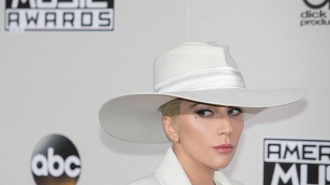 Ukradena buldoga Lady Gaga spet doma, ranjeni sprehajalec psov bo okreval