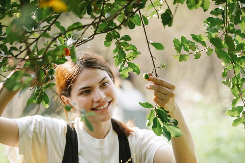 10 načel trajnostnega življenja, ki jih lahko posvojite tudi vi (foto: pexels)