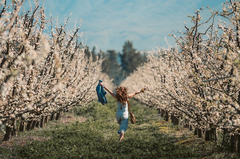 5 stvari, ki vas bodo popeljale v BOLJŠE ŽIVLJENJE (foto: pexels)