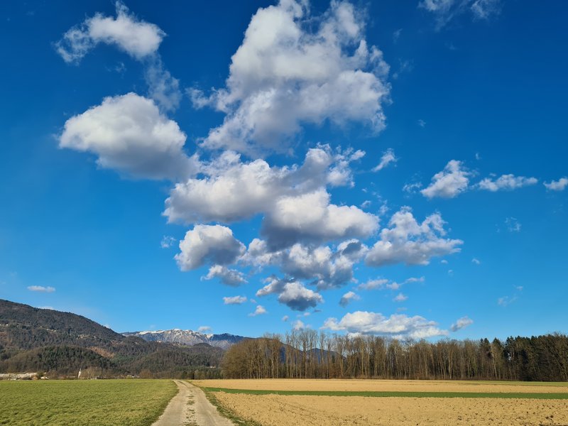 Bele ovčice. Če se ovčice polnijo in rastejo, lahko prinesejo tudi dež. (foto: Vid Legradic)