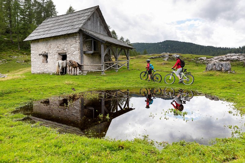 Ideje za izlete: TOP 9 kolesarskih poti po Sloveniji (foto: profimedia)