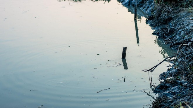 Nelegalno odloženo komunalno blato, ki je povzročilo ekološko katastrofo v Hočah, naj bi bilo s Ptuja (foto: profimedia)