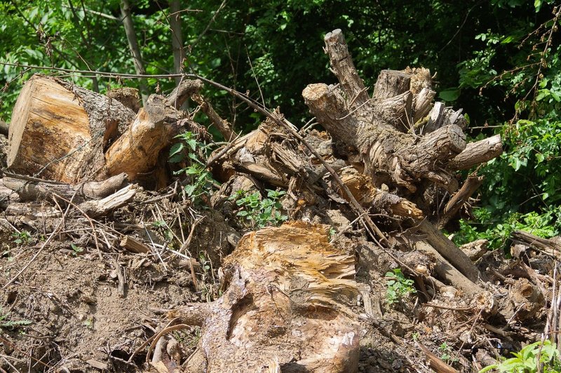 Slovenija brez celovite rešitve za ravnanje s komunalnim blatom (foto: profimedia)