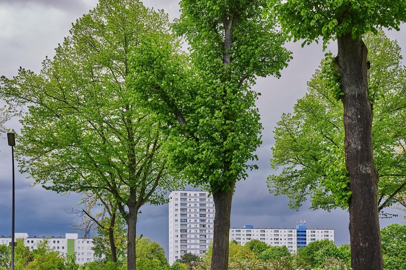 Neurje na zahodu Nemčije in vzhodu Belgije zahtevalo več življenj (foto: Profimedia)