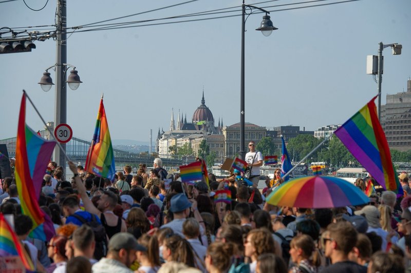 Madžarska: po zakonu, ki omejujejo širjenje vsebin LGBTIQ med mladimi, še odlok o prodaji knjig (foto: profimedia)