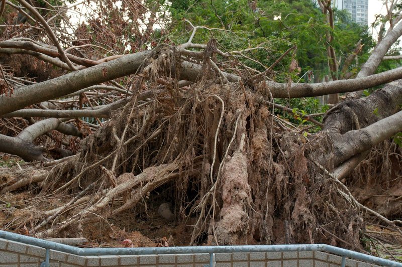 V zadnjih 50 letih petkratno povečanje vremenskih katastrof (foto: Profimedia)