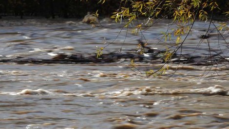 Z mikroplastiko najbolj onesnažena Sava