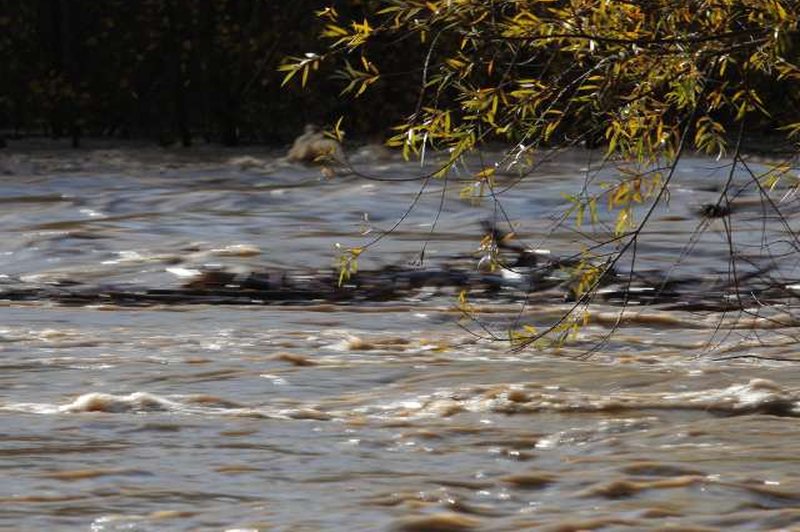 Z mikroplastiko najbolj onesnažena Sava (foto: Daniel Novakovič/STA)