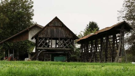 V zadnjem desetletju skoraj enako kmetijskih zemljišč, manj kmetij