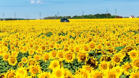 Alternativni pogoni za brezogljično družbo (in kako do ničelnih emisij do leta 2050)