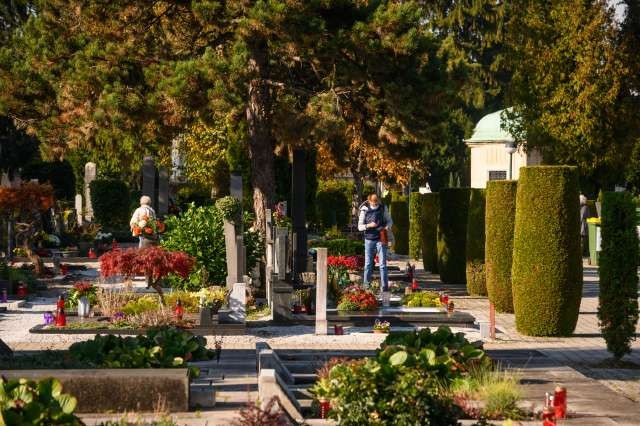 Ob dnevu spomina na mrtve: poznate vsa ljubljanska pokopališča? (FOTO)