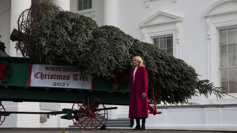 Med božičnimi okraski v Bidnovi Beli hiši tudi Trump