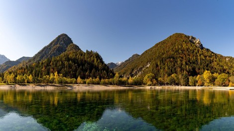 Vlada za pol leta podaljšala veljavnost letošnjih bonov