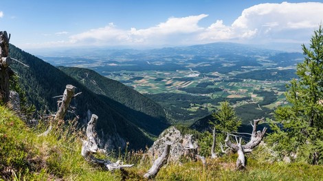 Srčni Korošci: 4 prijatelji invalidnemu Borisu Žibretu pomagali osvojiti Peco