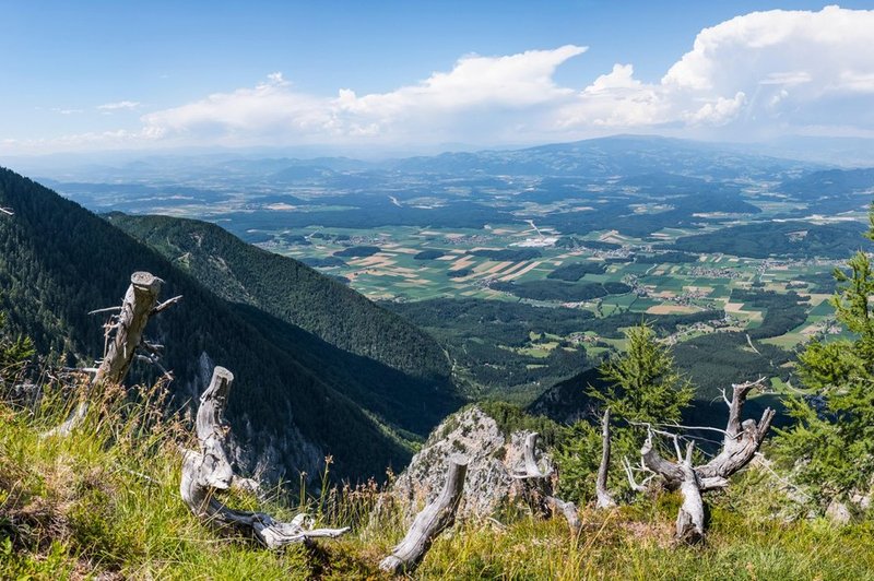 Srčni Korošci: 4 prijatelji invalidnemu Borisu Žibretu pomagali osvojiti Peco (foto: profimedia)