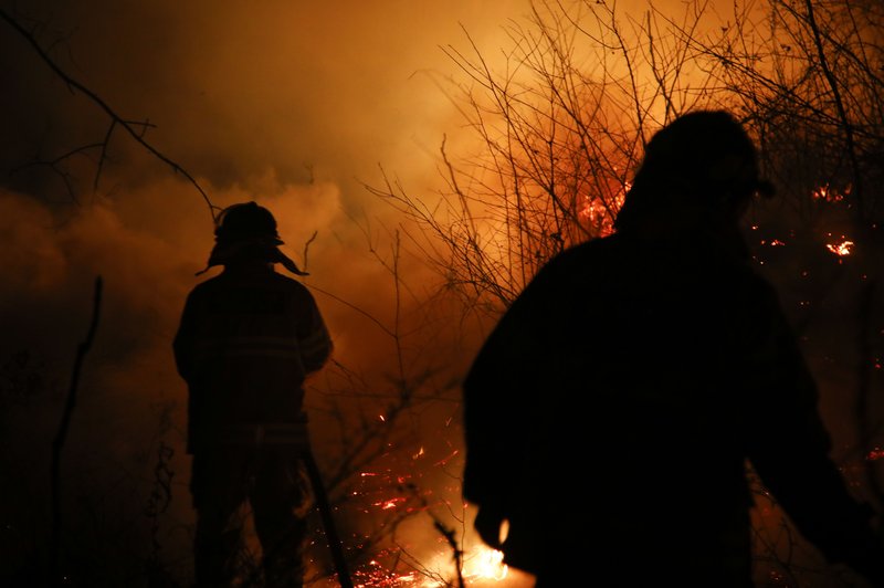 Neverjeten vzrok požarov v naravi (foto: Profimedia)