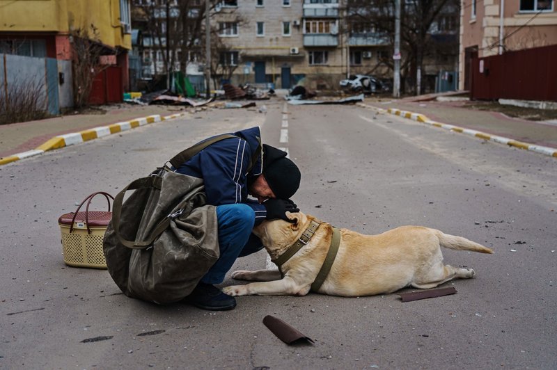 Izvedeli smo, kako se je razpletla ganljiva zgodba KUŽKA s TE fotografije! (foto: profimedia)