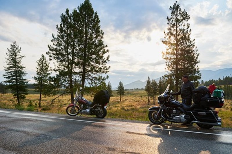 Bomo že to sezono lažje prišli do izpita za motor? (foto: Profimedia)