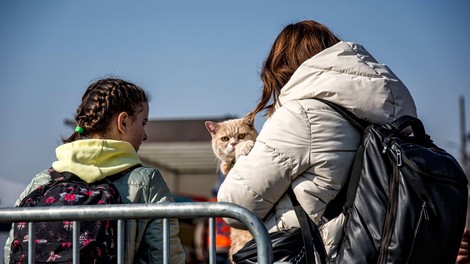 GANLJIVO: Kaj se dogaja s hišnimi ljubljenčki Ukrajincev, ki nebogljeni prihajajo v roke žalostne usode?