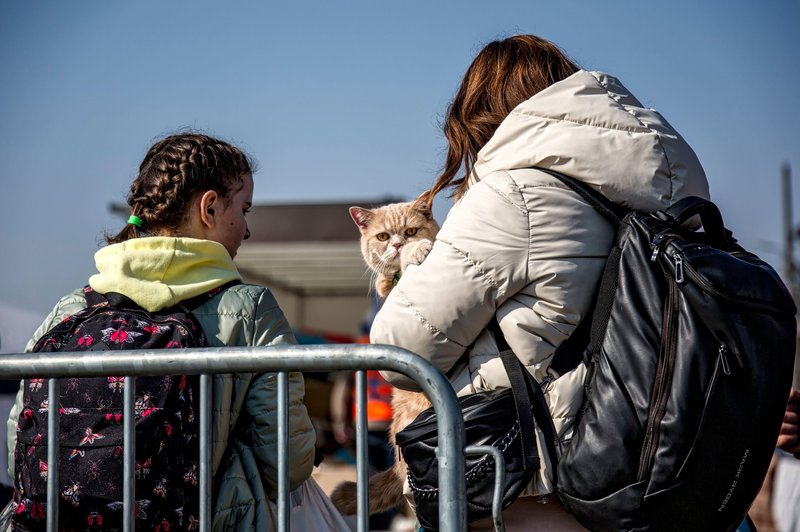 GANLJIVO: Kaj se dogaja s hišnimi ljubljenčki Ukrajincev, ki nebogljeni prihajajo v roke žalostne usode? (foto: Profimedia)