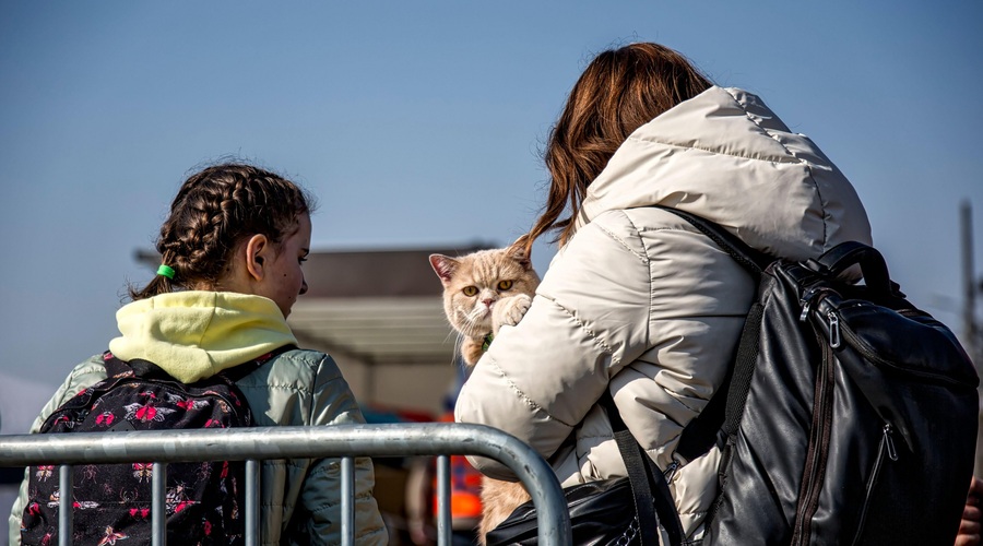 GANLJIVO: Kaj se dogaja s hišnimi ljubljenčki Ukrajincev, ki nebogljeni prihajajo v roke žalostne usode? (foto: Profimedia)