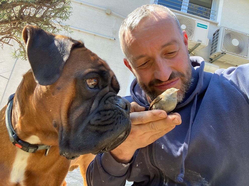 Navihan ptiček s cvetočega pisanega vrta, s katerim je Sunny spletel že zelo tesno vez. Zelo rada si namreč namenita …