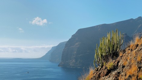 Sanjate o Tenerifih? Prav tam zdaj uživa priljubljen slovenski športnik