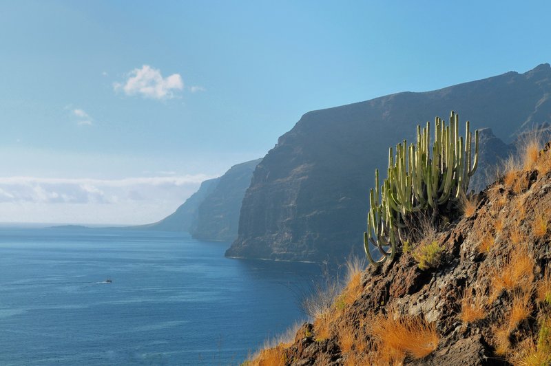 Sanjate o Tenerifih? Prav tam zdaj uživa priljubljen slovenski športnik (foto: Profimedia)