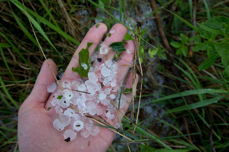 POZOR: Nevihtni sistem s točo že nad Slovenijo (foto: Profimedia)