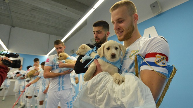 VIDEO: Udomači me: nogometaši z ganljivo gesto (foto: NK Rijeka)