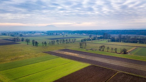 Korošci v skrbeh! Kmetje uporabili kar 510 ton svinca?