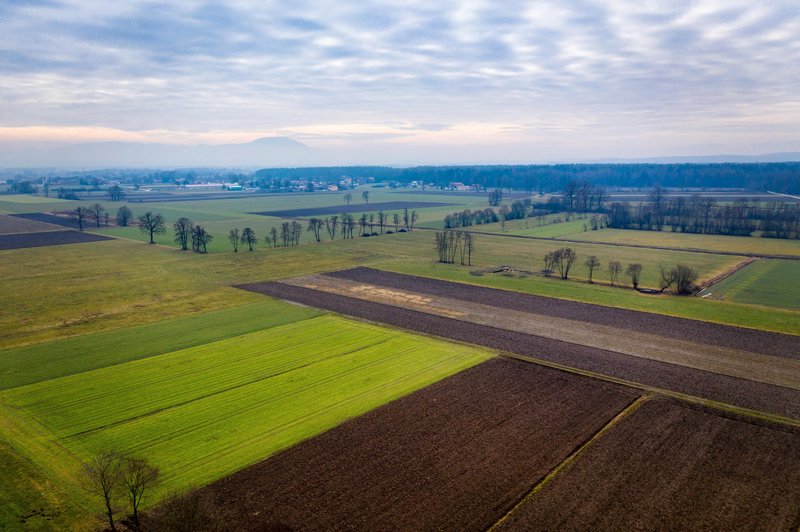 Korošci v skrbeh! Kmetje uporabili kar 510 ton svinca? (foto: Profimedia)