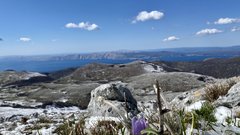 Felixov zeleni kotiček: Ste že videli velikonočnico na morju, ob močnih sunkih vetra?