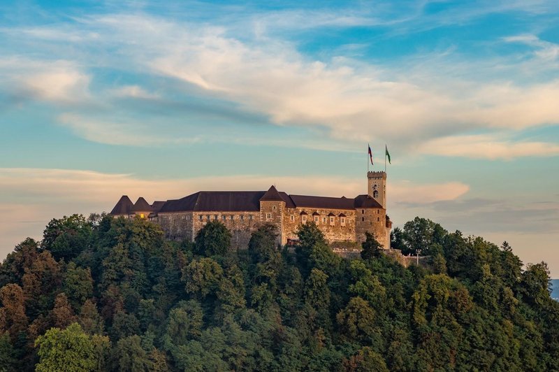 Začetek sečnje na Grajskem griču z zaporami poti in dostopom le z vzpenjačo (preverite, kdaj in kako bo potekala) (foto: Profimedia)