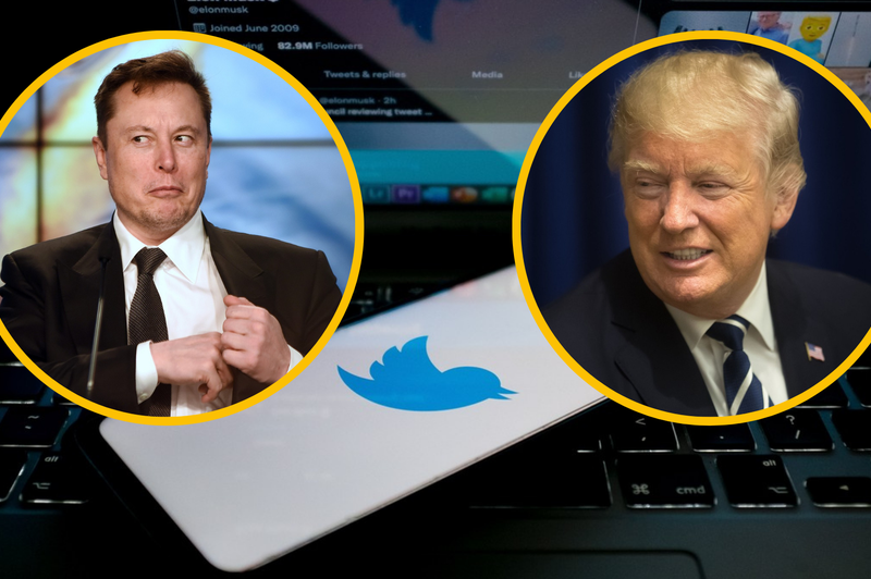 Se bo po Muskovem prevzemu na Twitter vrnil Donald Trump? (foto: Profimedia/fotomontaža)