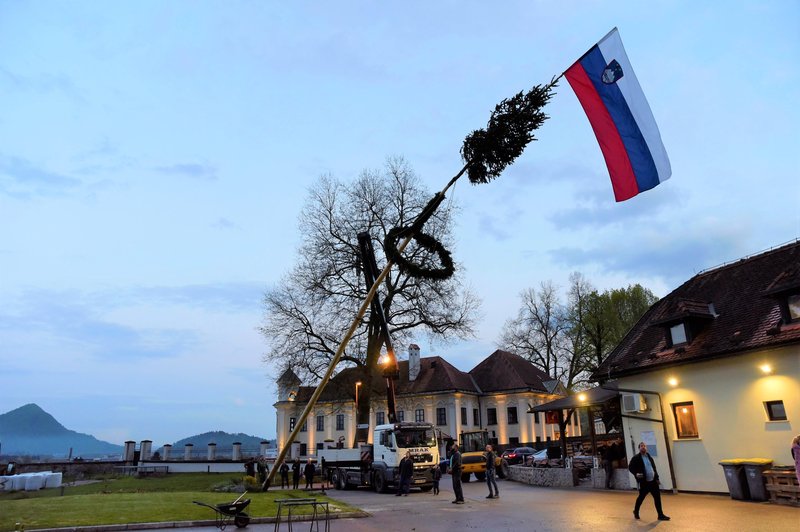 Ali veste, zakaj postavljamo mlaje? (foto: Bobo)