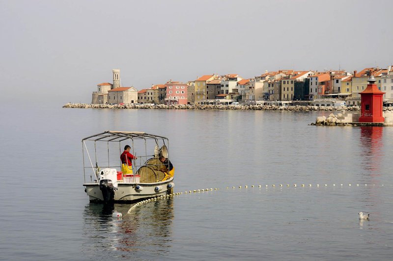 Nove finančne spodbude za občine: komu so namenjene? (foto: Bobo)