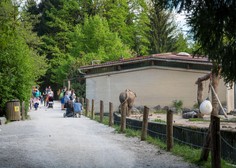 Nekaj takšnega se bo v ljubljanskem živalskem vrtu zgodilo prvič