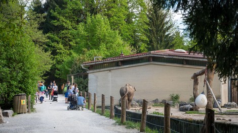 Nekaj takšnega se bo v ljubljanskem živalskem vrtu zgodilo prvič