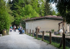 Nekaj takšnega se bo v ljubljanskem živalskem vrtu zgodilo prvič