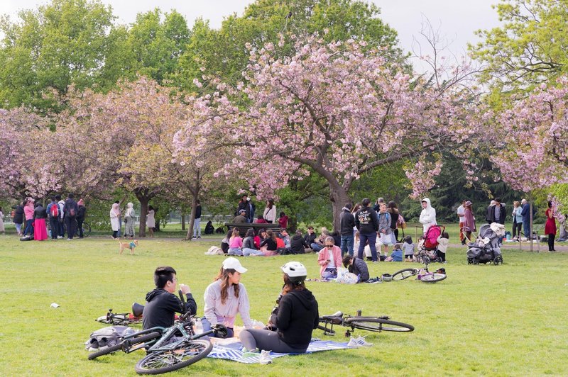 Naša država je edina članica EU, ki praznuje tudi na ta dan (foto: Profimedia)