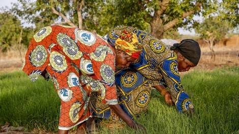 Kmetovalki v Burkina fasu