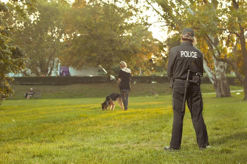 Kaj preverja policija, ko med sprehodom ustavi pasjega skrbnika? (foto: Profimedia)