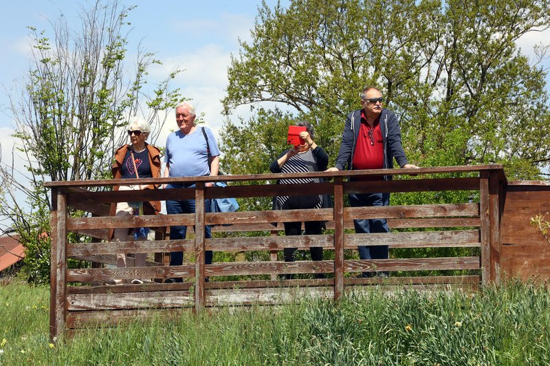 Arboretum Volčji Potok (foto: Bobo)