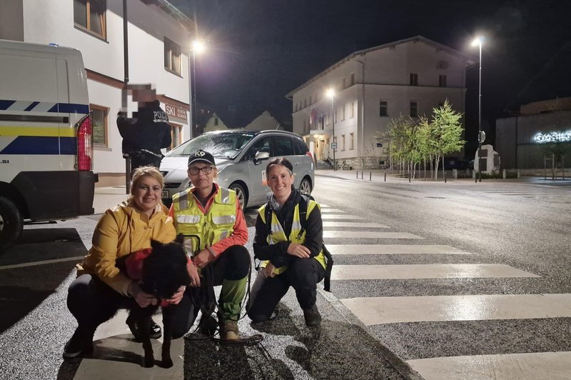 Srčna zgodba s srečnim koncem: pogrešano mladoletnico našel pes Edo (foto: Facebook K9)