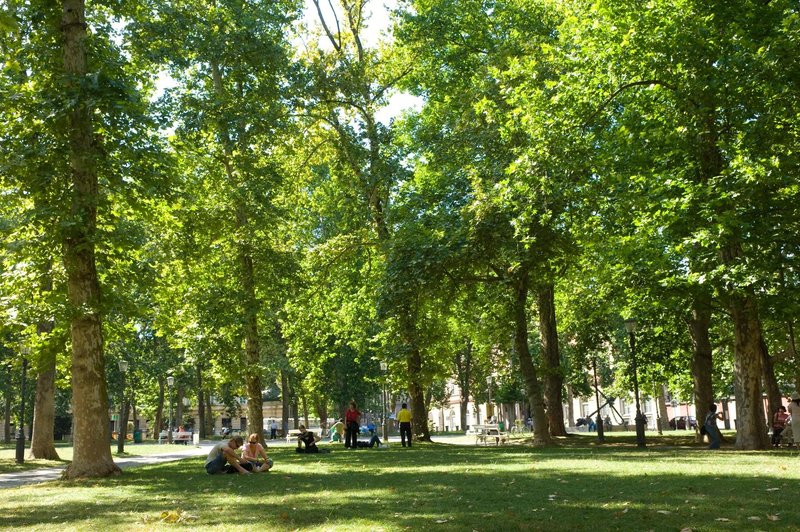 Na zelenih mestnih površinah tudi letos SIMPATIČNE table: ste jih že opazili? (foto: Profimedia)