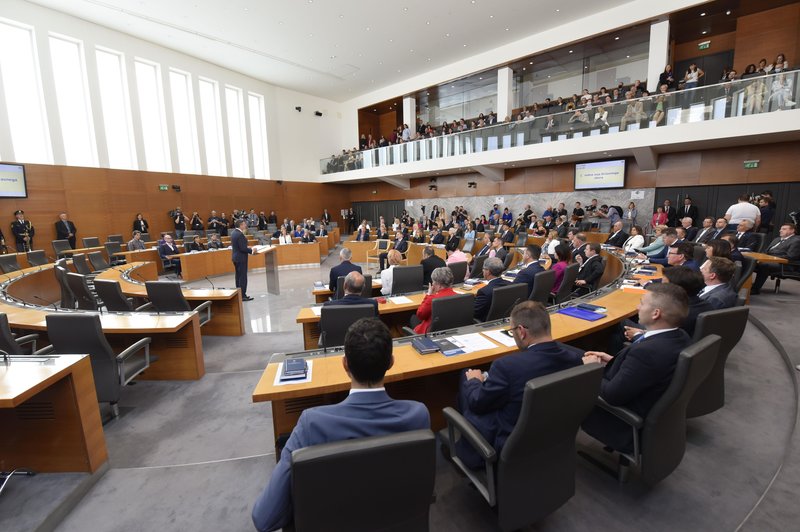 Minuta molka v državnem zboru, komu so se poklonili? (foto: Bobo)